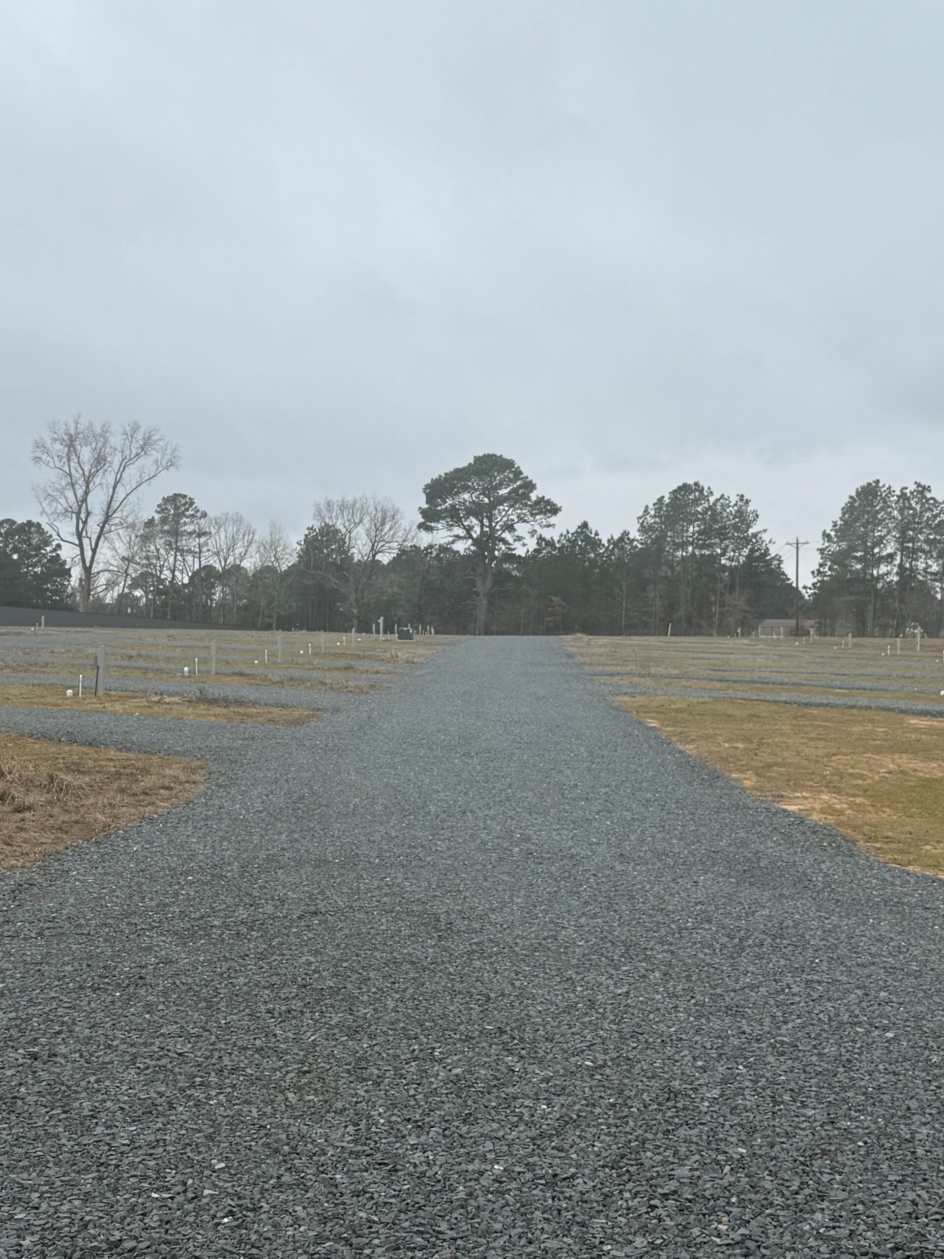 A gravel path runs straight through a flat, open area with sparse grass and white stakes, bordered by leafless and evergreen trees under a cloudy sky.